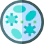 Bacteria icon 64x64