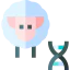 Sheep icon 64x64