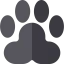 Paw icon 64x64