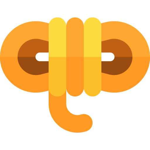 Rope icon