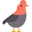 Bird icon 64x64