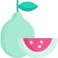 Guava icon 64x64