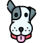 Dog icon 64x64