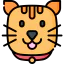 Cat icon 64x64