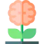 Awareness icon 64x64