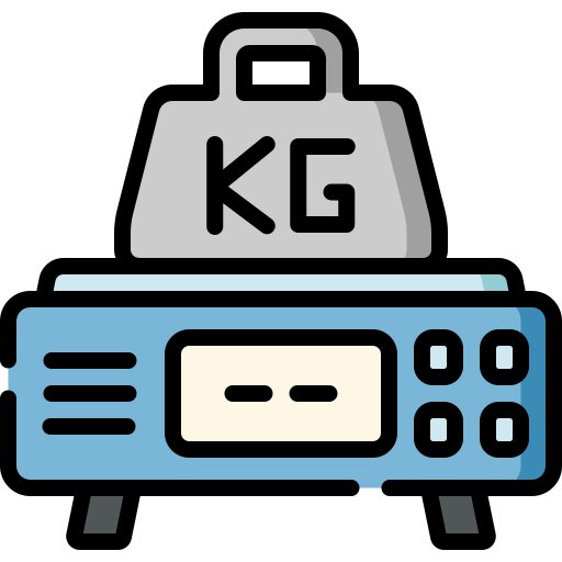 Scale icon