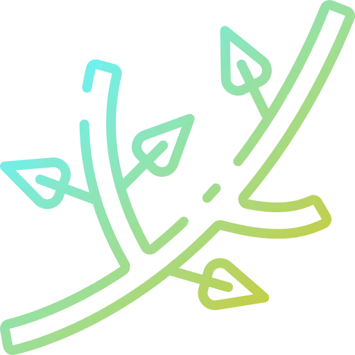 Branch icon