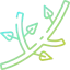 Branch icon 64x64