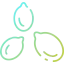 Seed icon 64x64