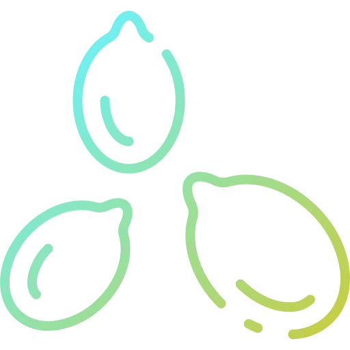 Seed icon