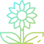 Sunflower icon 64x64