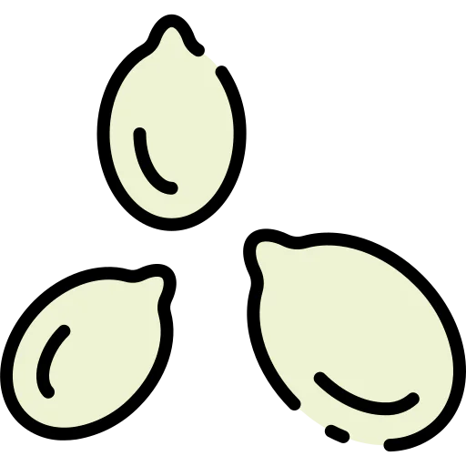 Seed icon