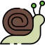Snail icon 64x64
