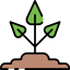 Sprout icon 64x64