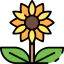 Sunflower icon 64x64