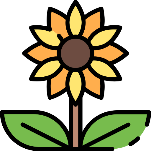 Sunflower icon