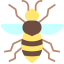 Bee icon 64x64