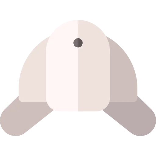Detective hat icon
