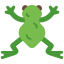 Frog icon 64x64