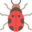 Ladybug icon 64x64
