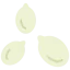 Seed icon 64x64