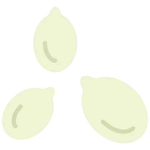 Seed icon