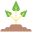 Sprout icon 64x64