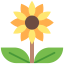 Sunflower icon 64x64