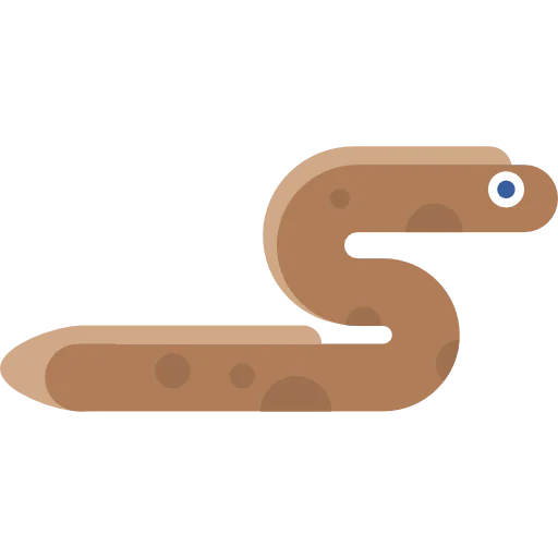 Moray icon
