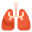 Lung icon 64x64