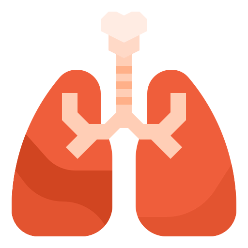 Lung icon