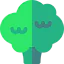 Broccoli icon 64x64