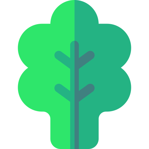 Spinach icon