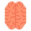 Brain icon 64x64