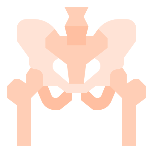 Pelvis icon