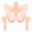 Pelvis icon 64x64