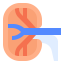 Kidney icon 64x64