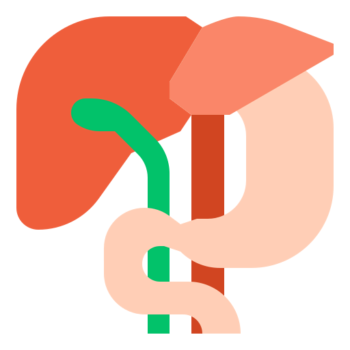 Liver icon