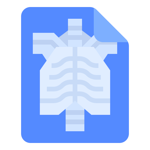 X ray icon