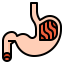 Stomach icon 64x64