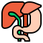 Liver icon 64x64