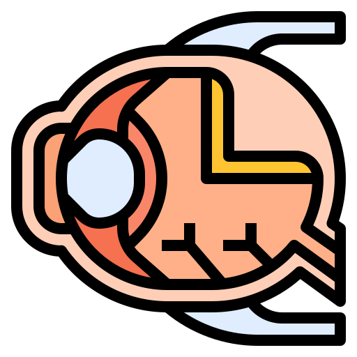 Eyeball icon