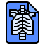 X ray icon 64x64