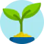 Plant icon 64x64