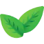 Leaves 图标 64x64