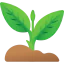 Sprout 图标 64x64