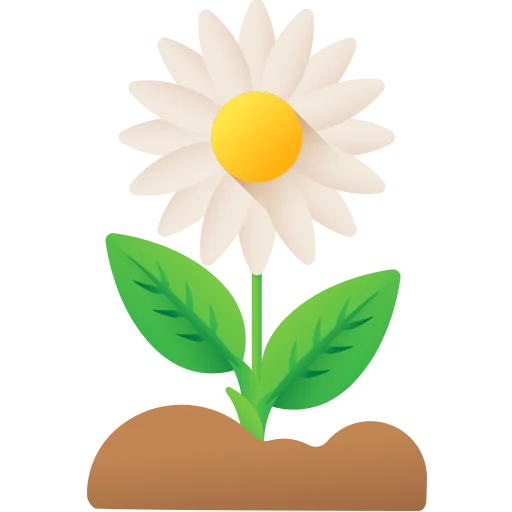 Sunflower icon