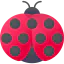Ladybug 图标 64x64