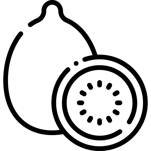 Kiwi Symbol
