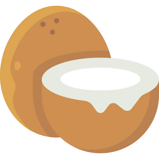 Coconut icon